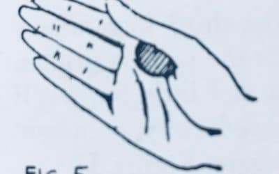 The Front Thumb Palm