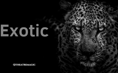 Exotic